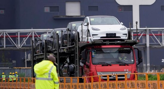 Tesla workers strike movement gains momentum