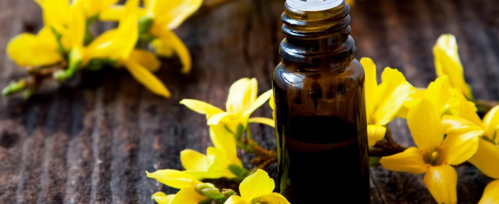 The Perfect Ylang Ylang Essential Oil for Fall And Heres Why