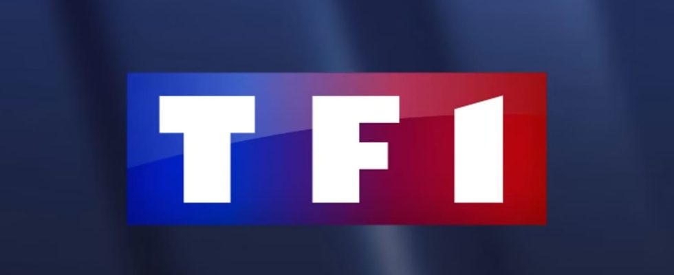 The TF1 television group will launch a brand new free