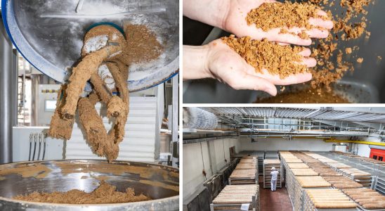 They reveal how bread is made in an industrial bakery