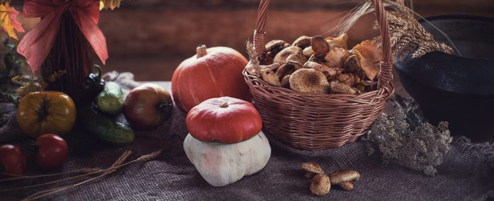 This flagship food of fall is the perfect anti aging agent