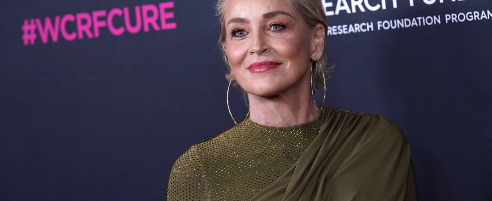 This hair accessory adopted by Sharon Stone is the one