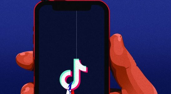 TikTok Chinas weapon to try to influence the elections –