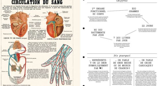 With Anatomy Lessons Dr Gerald Kierzek invites us to explore