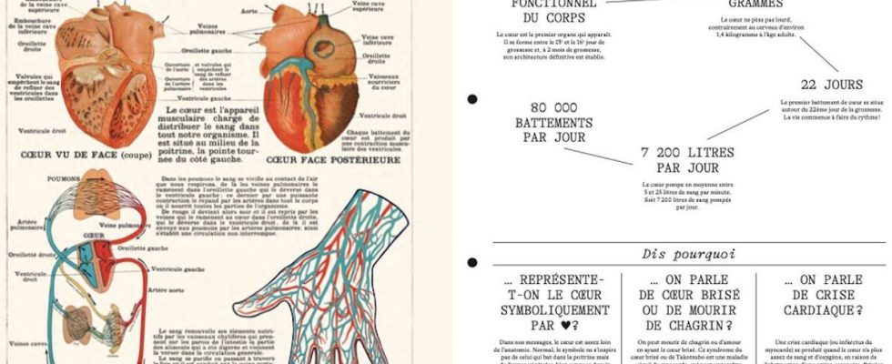 With Anatomy Lessons Dr Gerald Kierzek invites us to explore