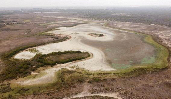 agreement to protect Donana Park threatened with desertification