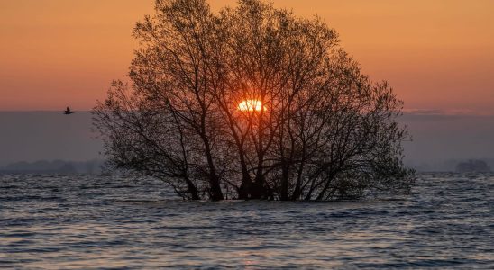 floods still feared this Wednesday