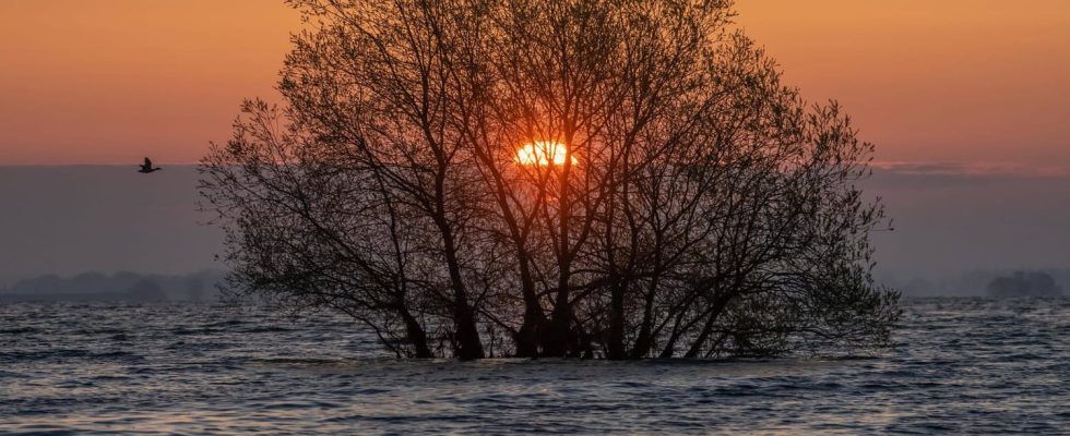 floods still feared this Wednesday