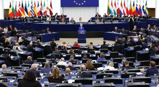 the European Parliament rejects Brussels reduction plan – LExpress