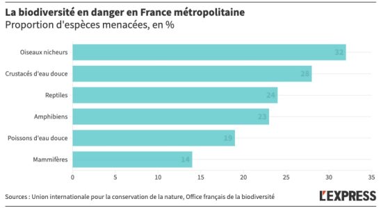 the figures for the collapse of life in France –