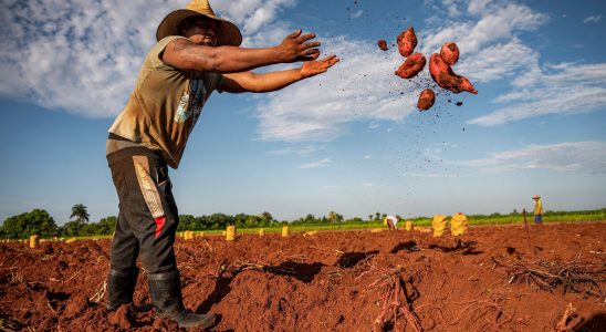 the hidden costs of our food – LExpress