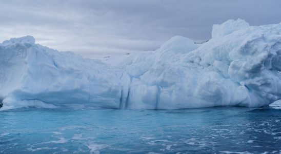 what we know about the largest iceberg in the world