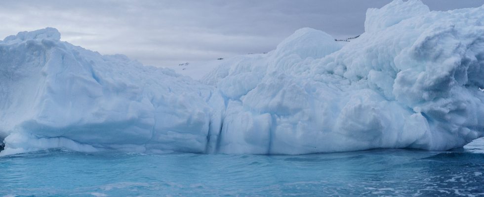 what we know about the largest iceberg in the world