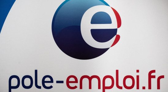 when employers hunt down fake business creators – LExpress