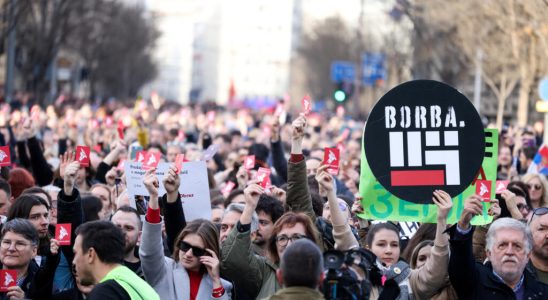 17000 demonstrators in Belgrade to denounce irregularities during the legislative