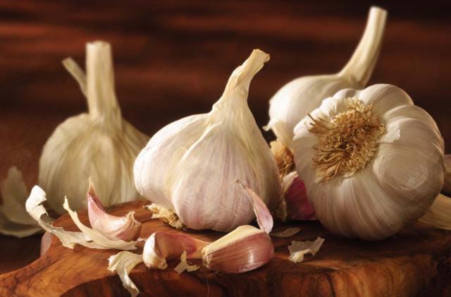 garlic