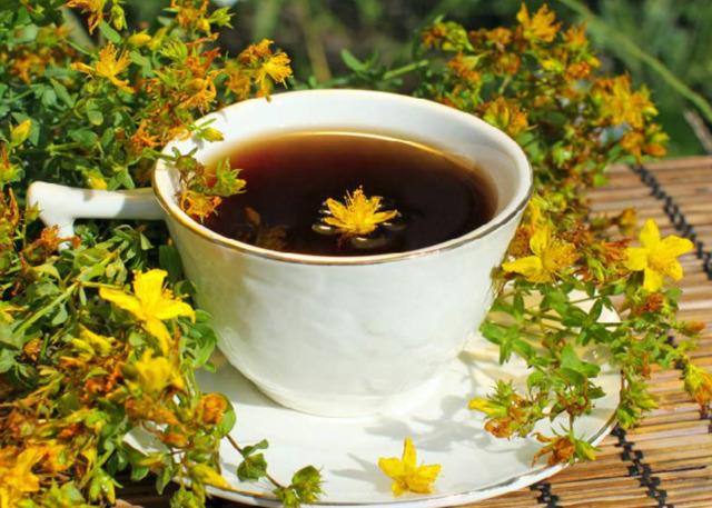 St. John's wort tea