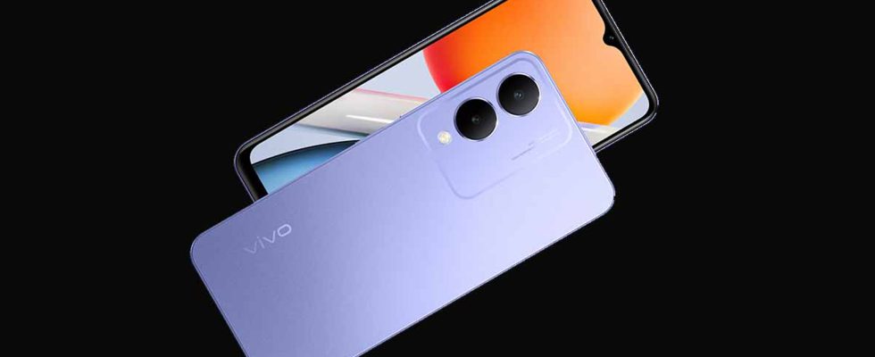 Affordable Vivo Y36i Model Introduced