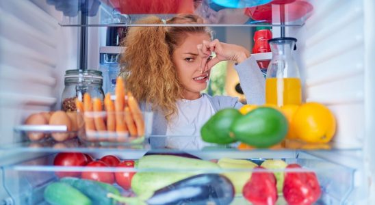 An intelligent nose to combat the risk of food poisoning