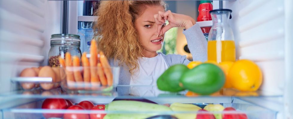 An intelligent nose to combat the risk of food poisoning