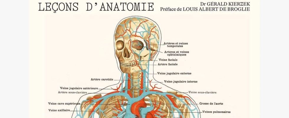 Competition win a signed copy of Anatomy Lessons the latest