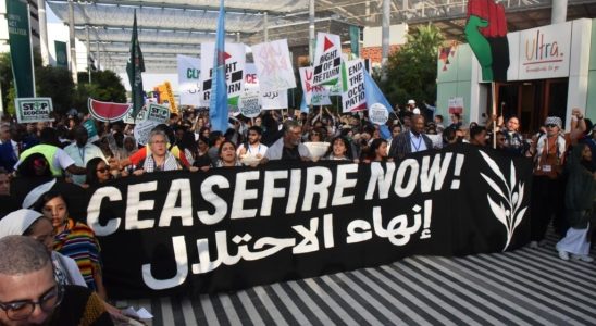 Day of mobilization at COP28 There are many parallels between