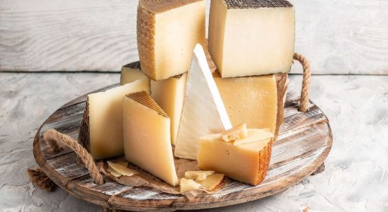 Do not consume these cheeses contaminated with Escherichia Coli bacteria