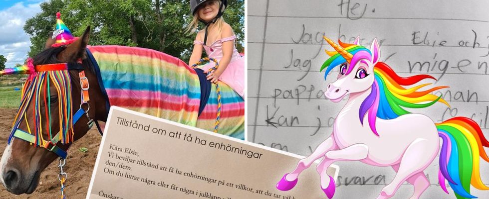 Elsie 8 was given permission to have a unicorn by