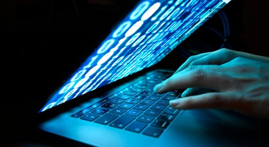 Hackers make demands on Harjedalen municipality