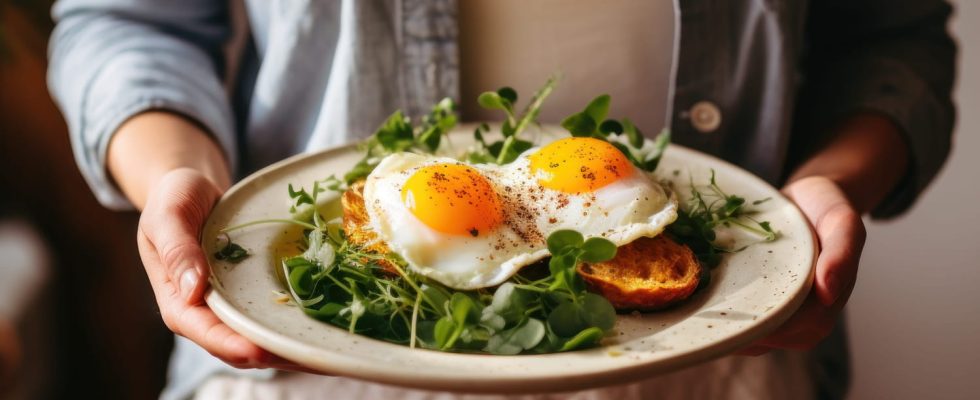 Here are the foods richest in cholesterol