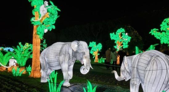 In Paris the Jardin des Plantes is transformed into a