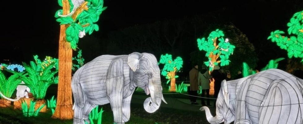 In Paris the Jardin des Plantes is transformed into a