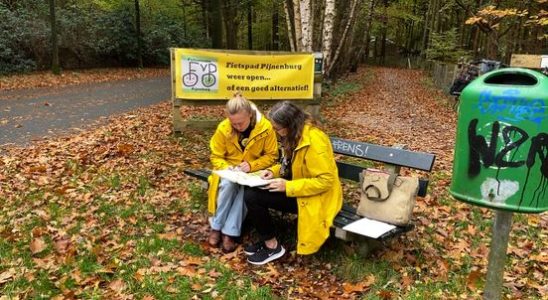 Judge Stulpselaan cycle path in Baarn is still a public