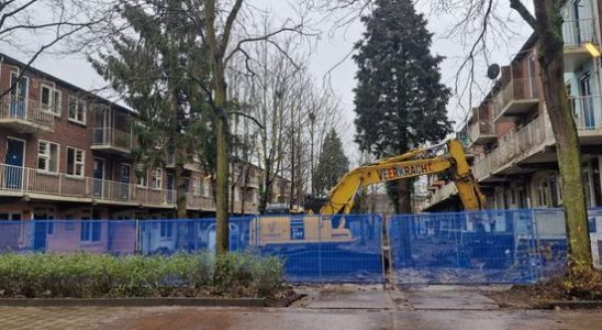 Local residents angry and disappointed after illegal tree felling in