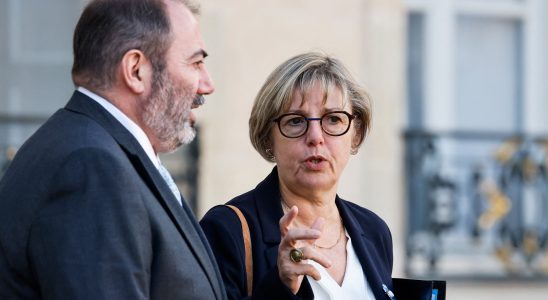 Minister Sylvie Retailleau presented her resignation which was refused –