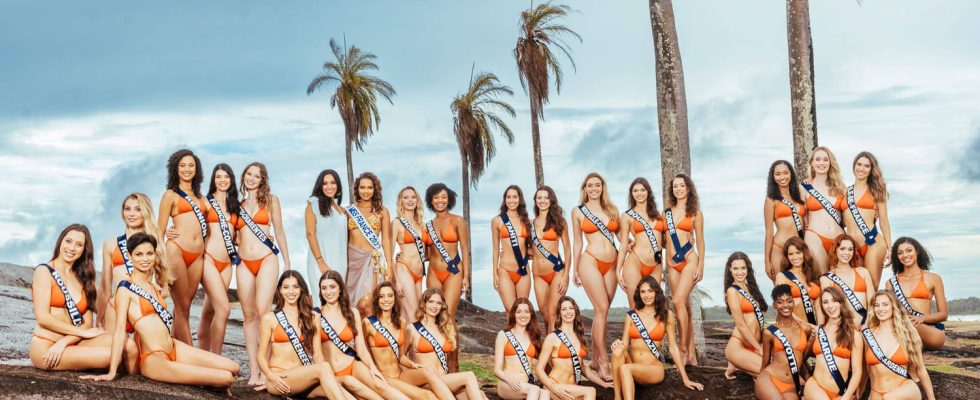 Miss France 2024 5 ultra favorite candidates according to AI the