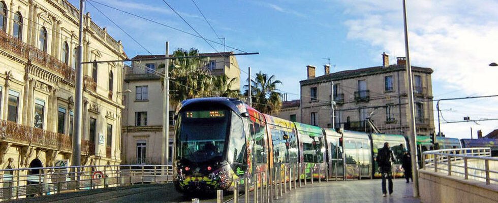 Montpellier switches to free transport This is not the answer