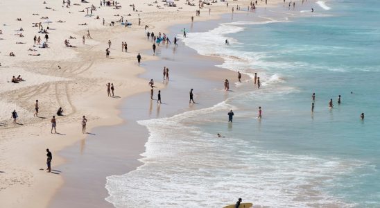 Mysterious packages with 120 kilos of cocaine washed ashore in