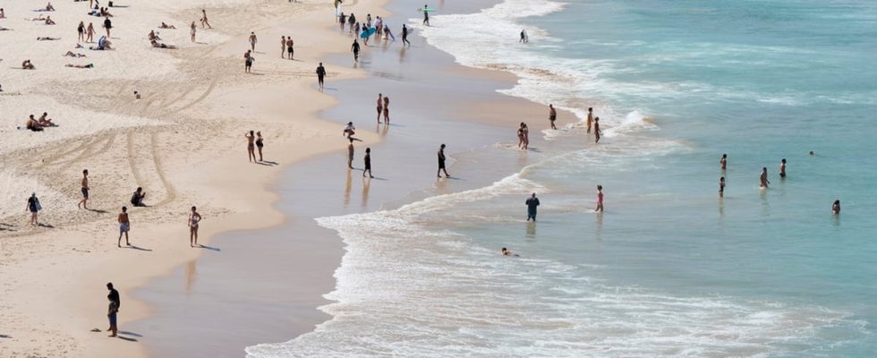 Mysterious packages with 120 kilos of cocaine washed ashore in