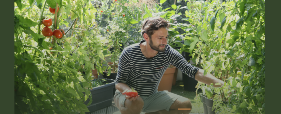 Patrick Vernuccio expatriate in Berlin and fan of urban gardening