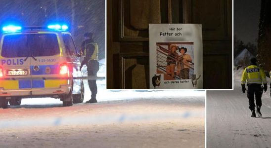 Petter witnessed the explosion in Uppsala