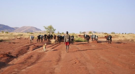 Photographer Ivanoel Barreto testifies in images of the Malagasy Kere