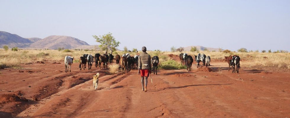 Photographer Ivanoel Barreto testifies in images of the Malagasy Kere