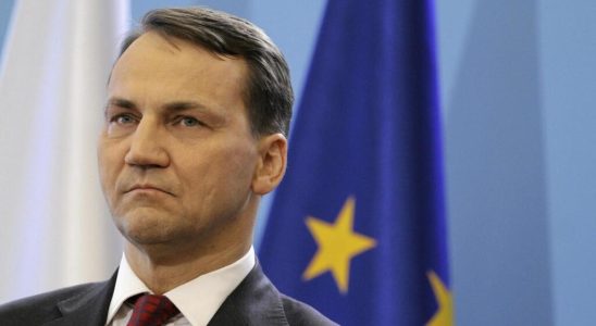 Radoslaw Sikorski returns to Polish Foreign Affairs