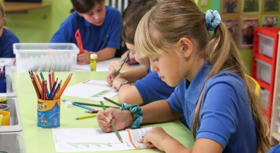 School uniforms where will they be made Clothes made in