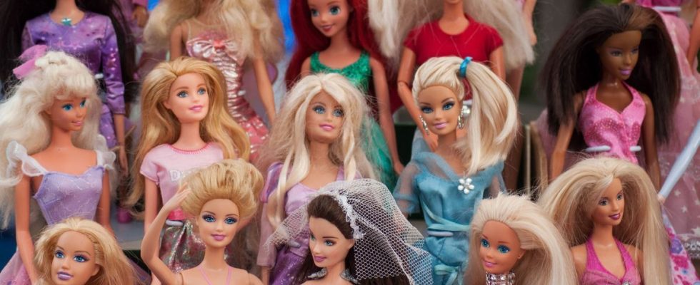 Study reveals Barbies lack of realism in health and science