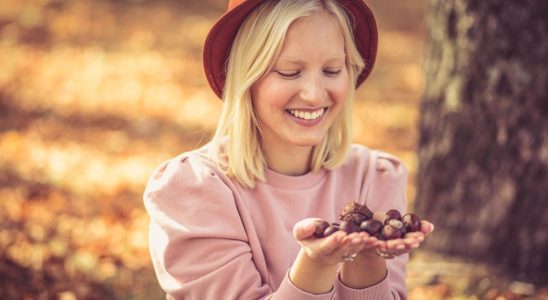 The chestnut a fruit with unsuspected beauty virtues