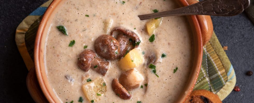 This delicious mushroom soup is ready in 15 minutes