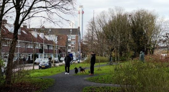 This is why the smell of coffee belongs to Utrecht