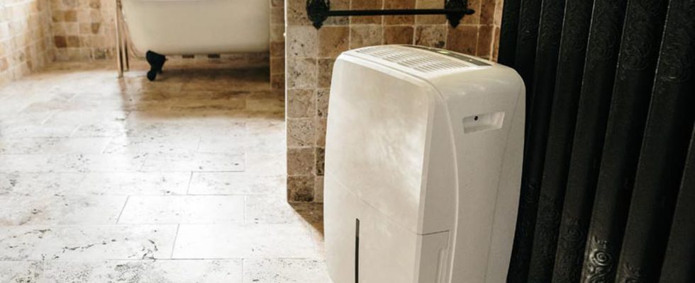 Using the dehumidifier mistakes to avoid